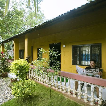 Sauraha Nana Hotel Exteriör bild